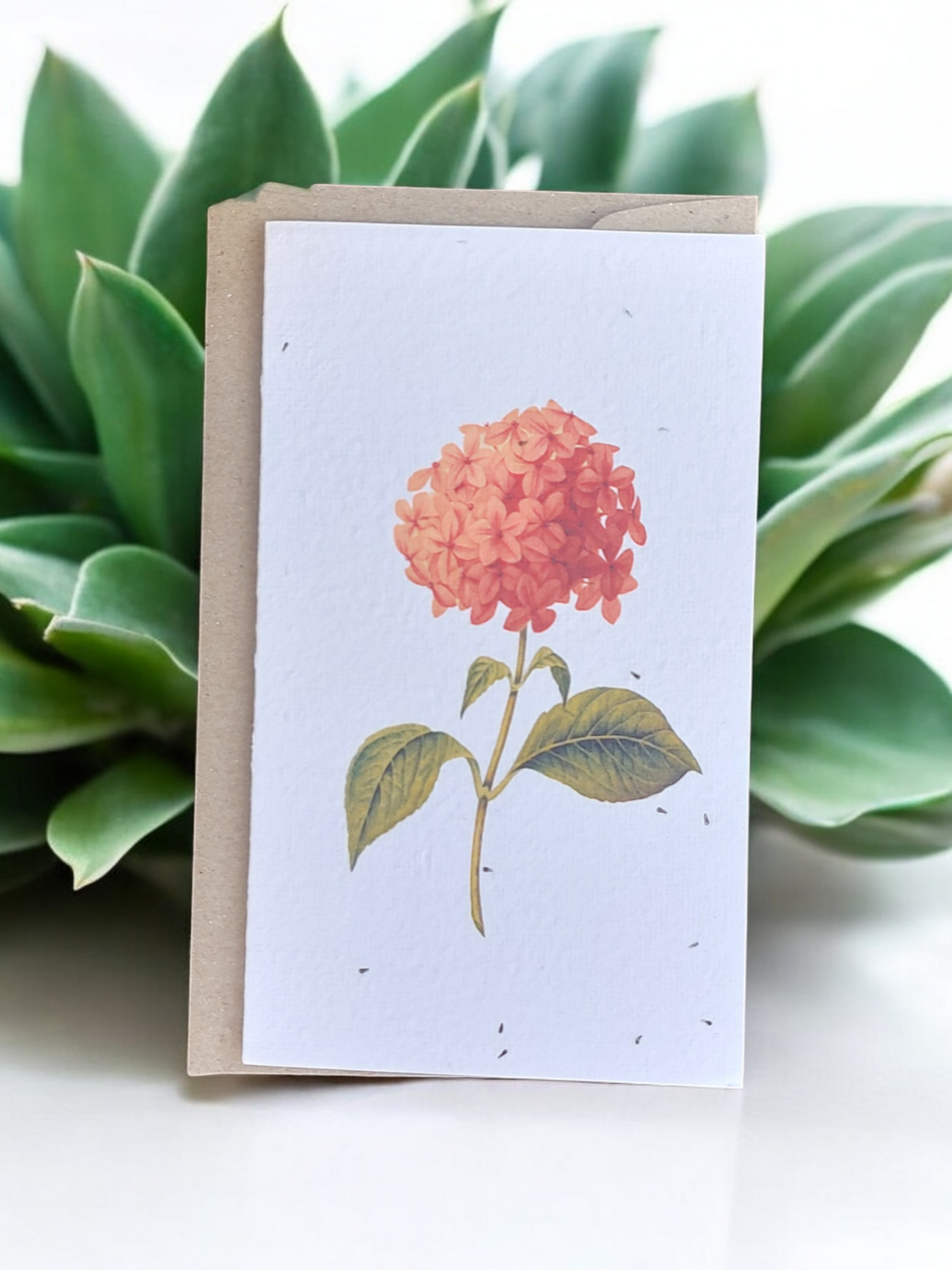 Plantable 'Pink Zinnia' Generic Card