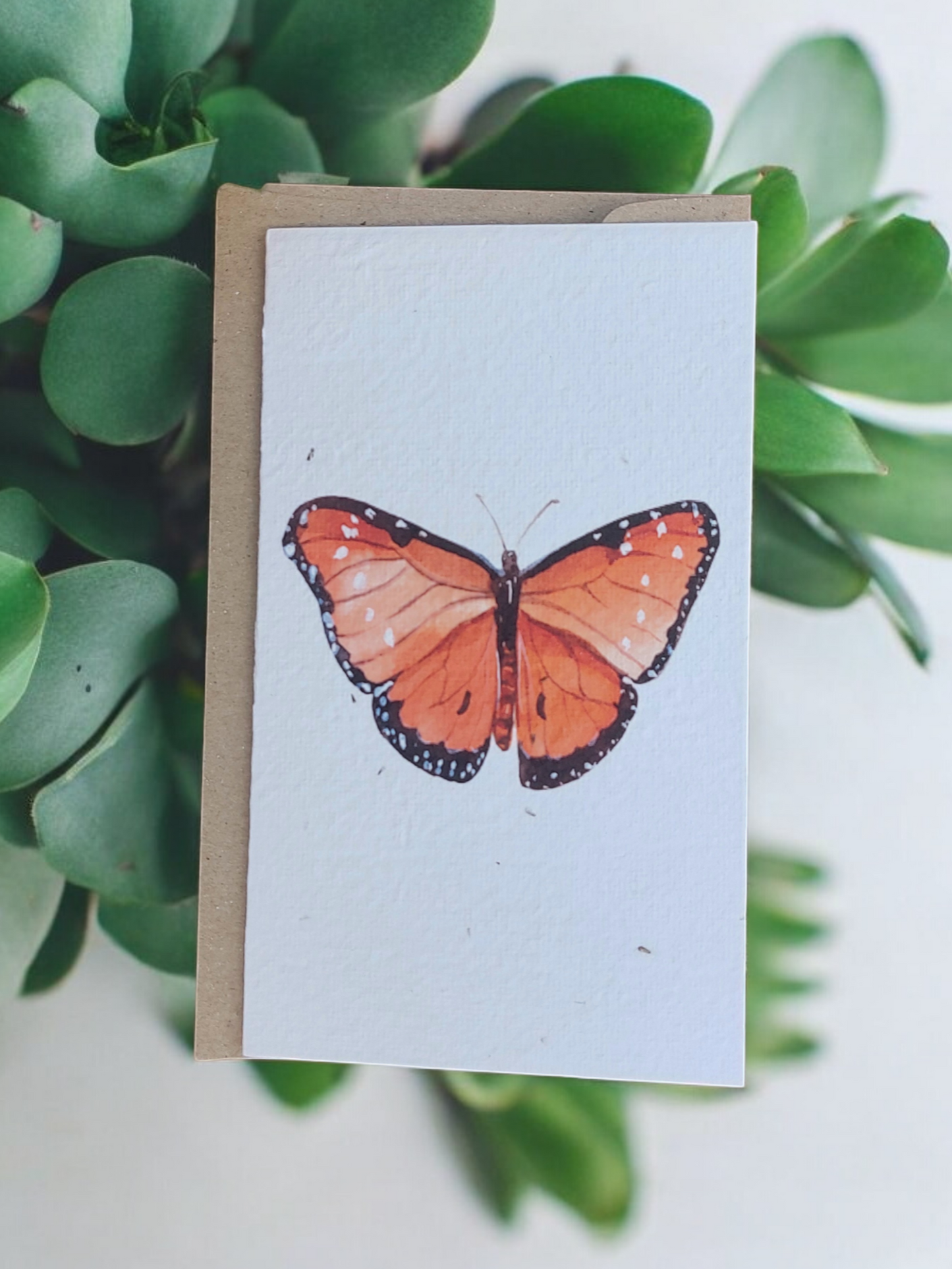 Plantable Butterfly Generic Card