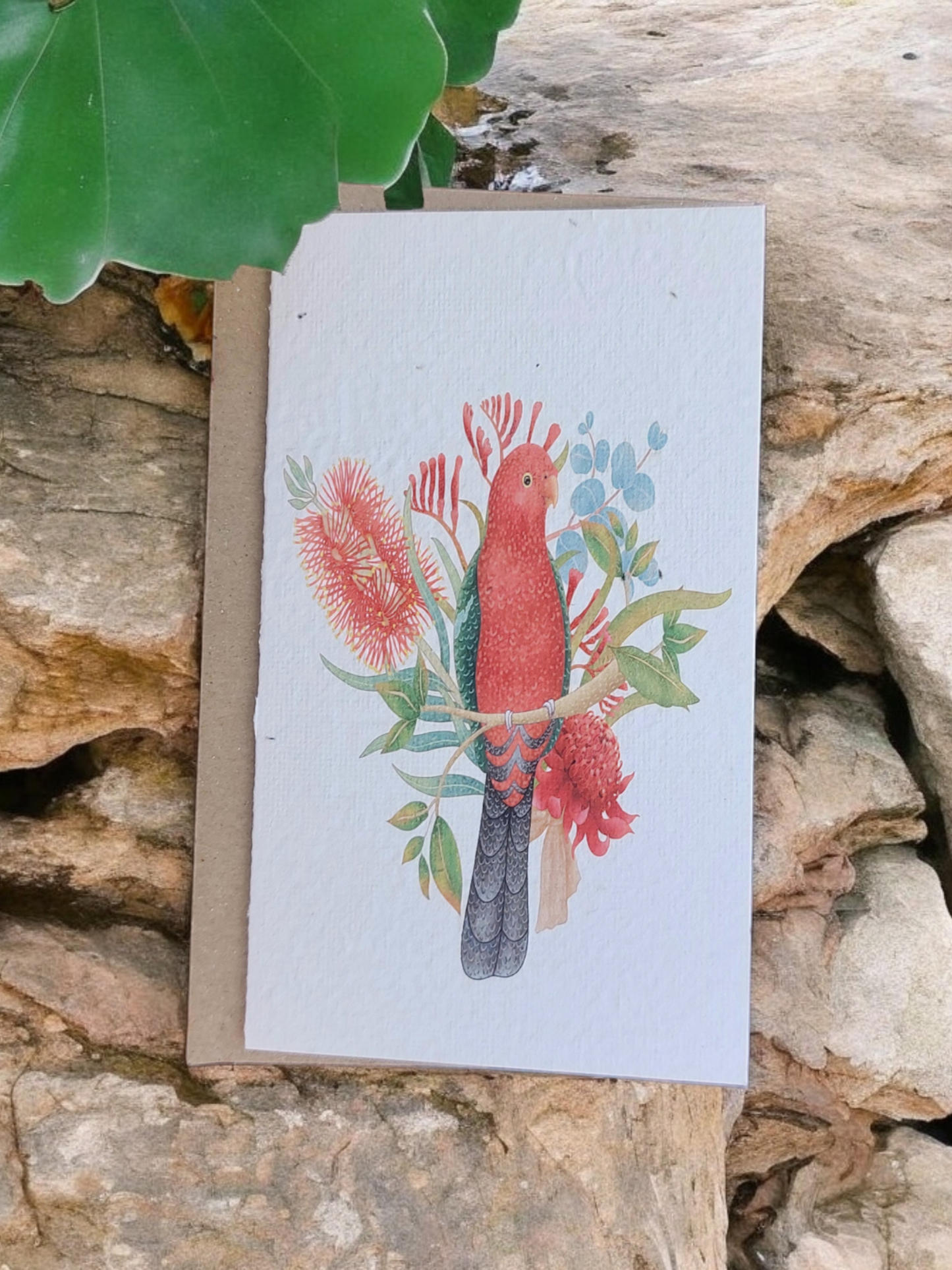 Plantable 'King Parrot' Generic Card