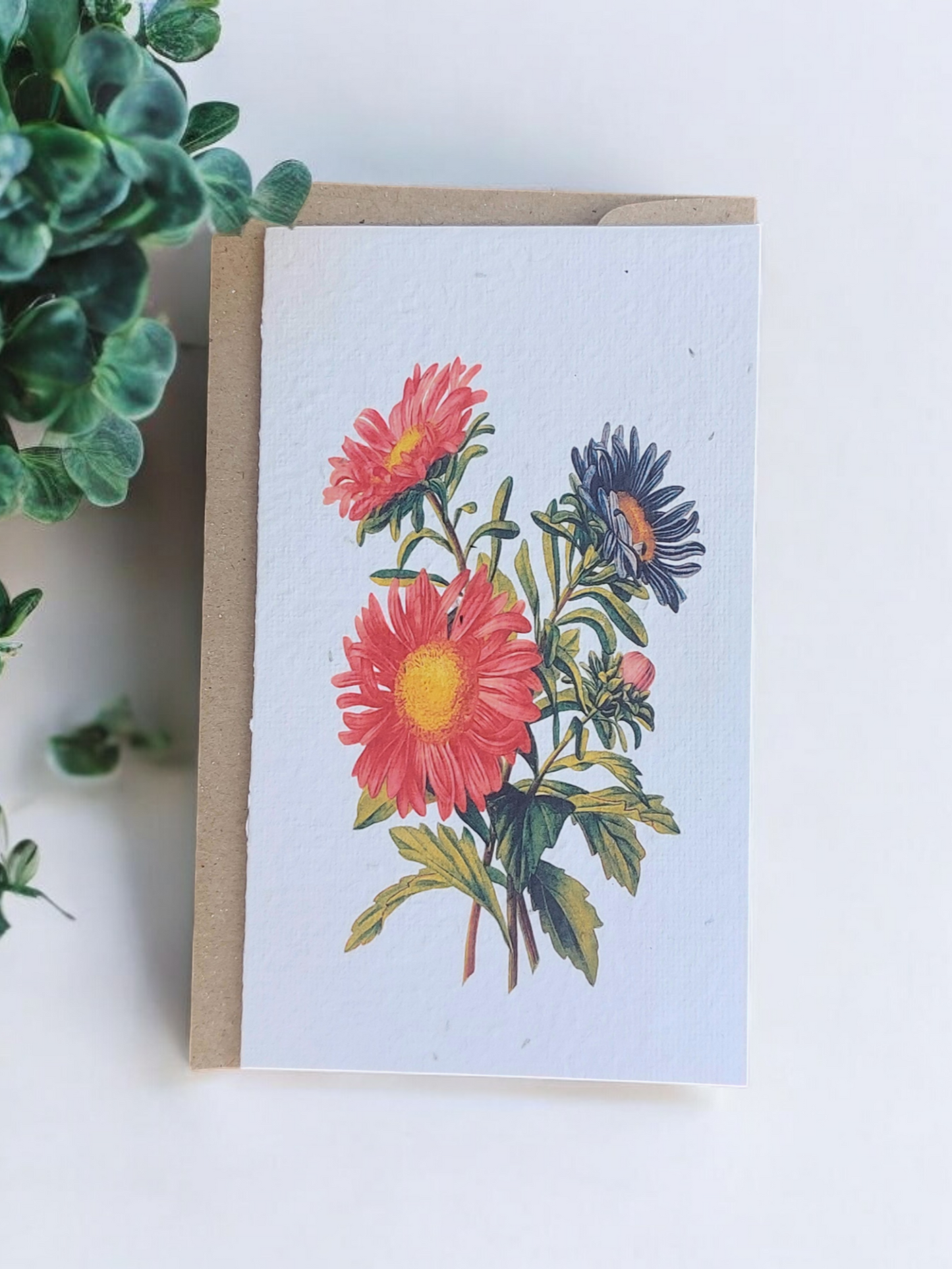 Plantable 'Daisy' Generic Card
