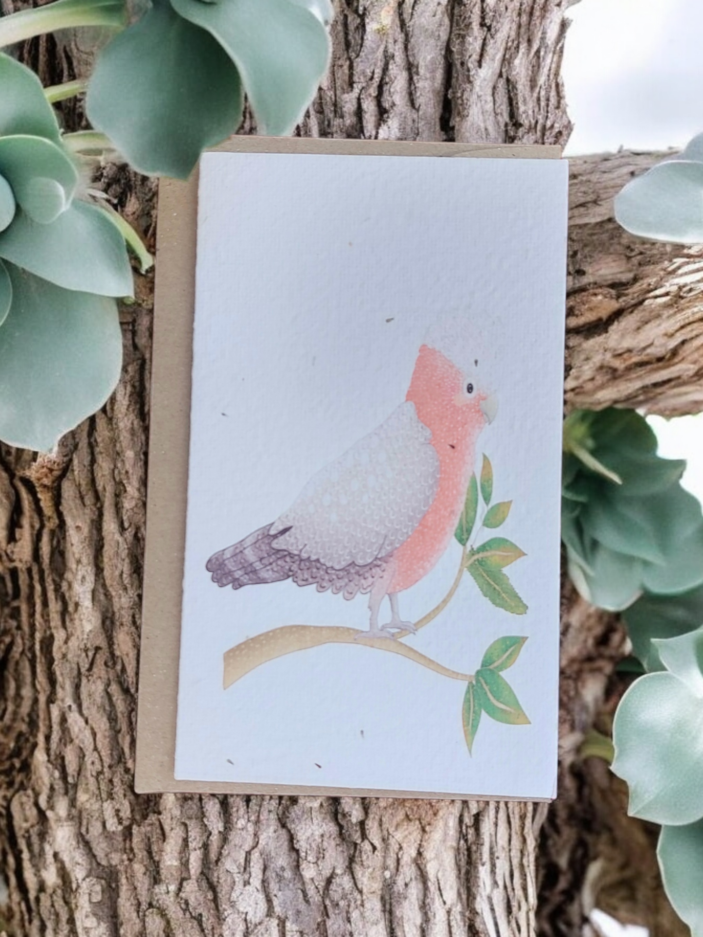 Plantable 'Galah' Generic Card