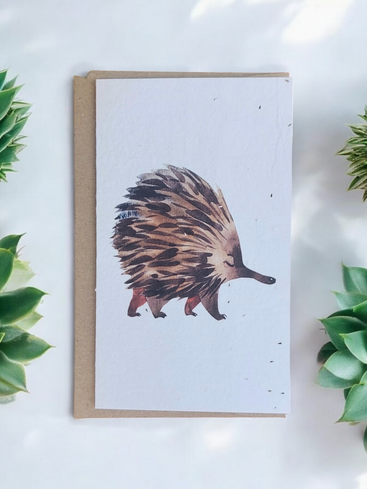 Plantable Echidna Generic Card