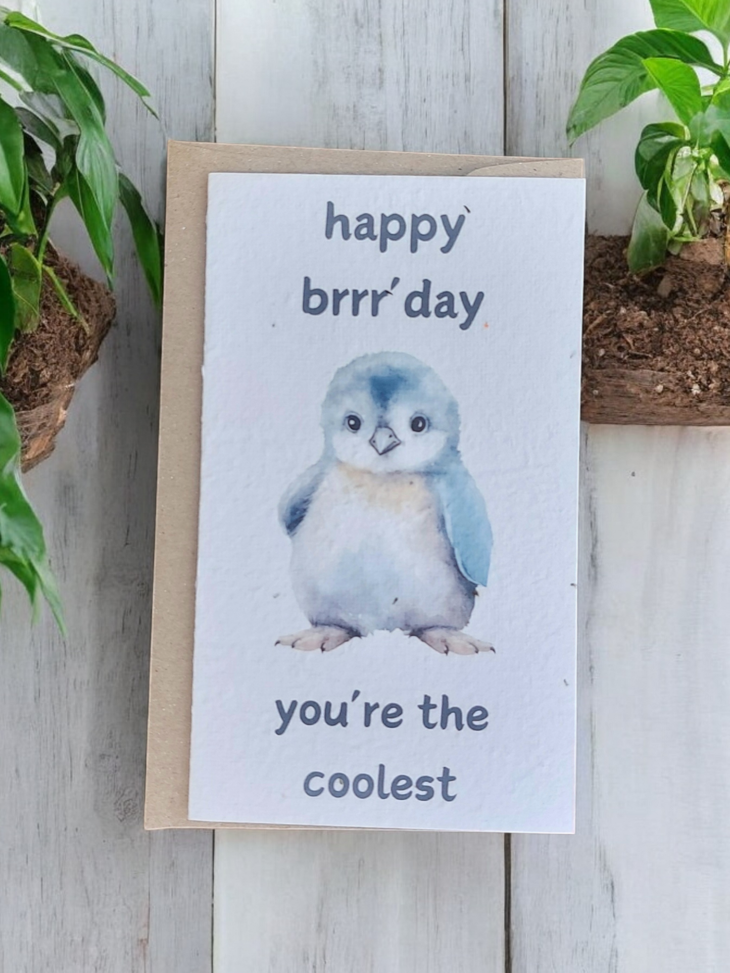 Plantable Penguin Funny Card