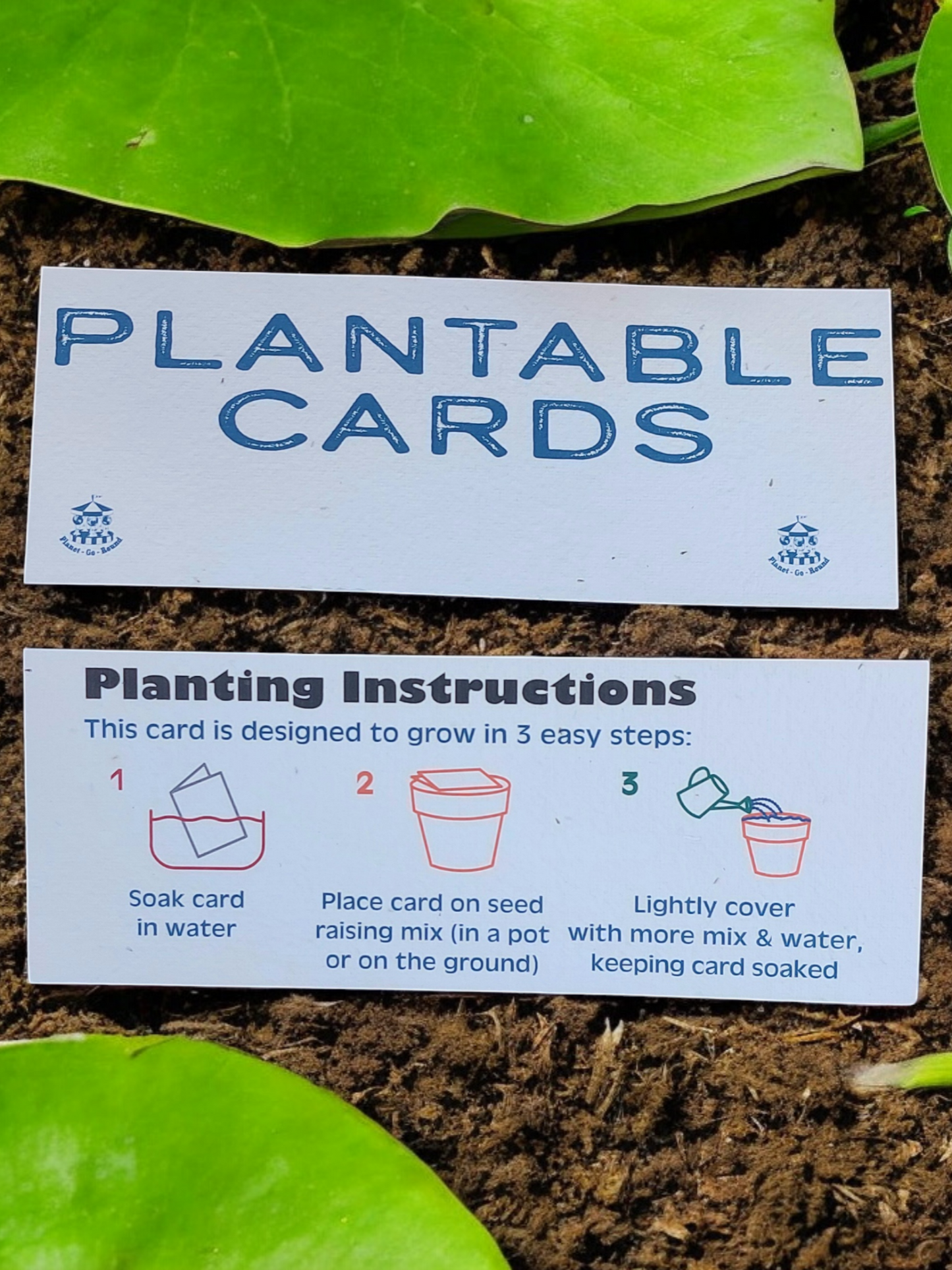 Plantable 'King Parrot' Generic Card