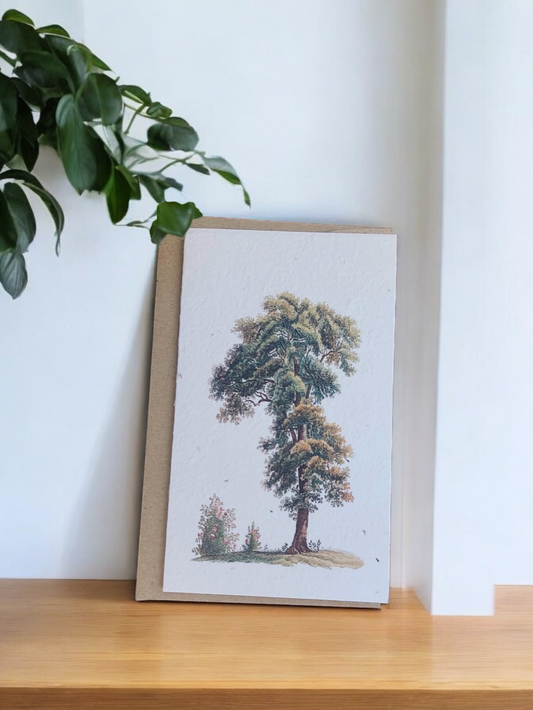 Plantable 'Standalone Tree' Generic Card
