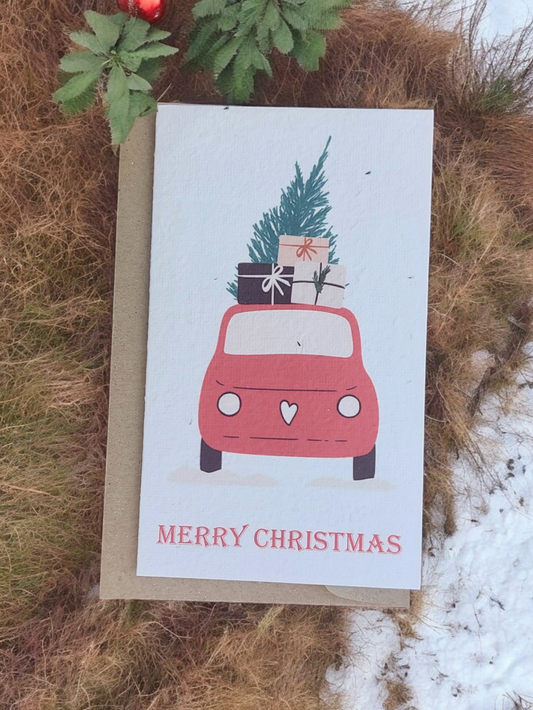 Plantable 'Santa’s Ride' Christmas Card